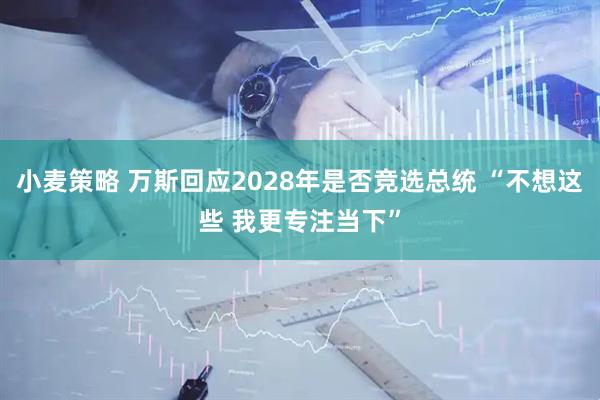 小麦策略 万斯回应2028年是否竞选总统 “不想这些 我更专注当下”