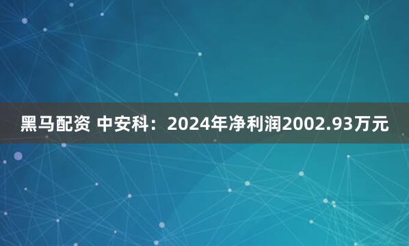 黑马配资 中安科：2024年净利润2002.93万元