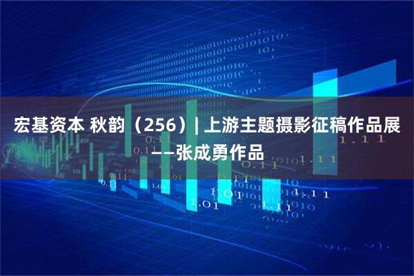 宏基资本 秋韵（256）| 上游主题摄影征稿作品展——张成勇作品