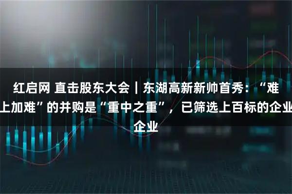 红启网 直击股东大会｜东湖高新新帅首秀：“难上加难”的并购是“重中之重”，已筛选上百标的企业