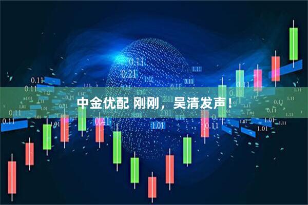 中金优配 刚刚，吴清发声！