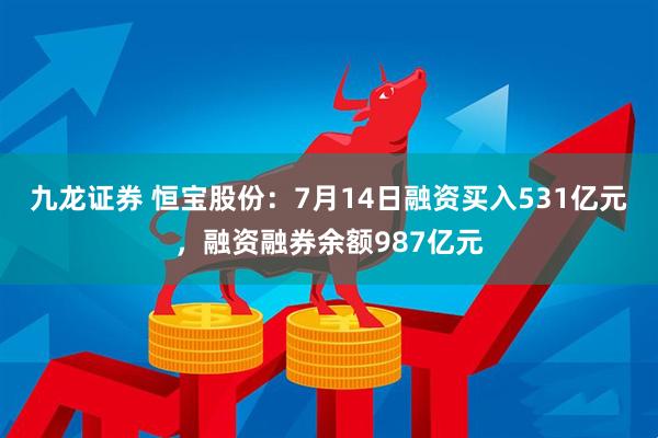 九龙证券 恒宝股份：7月14日融资买入531亿元，融资融券余额987亿元